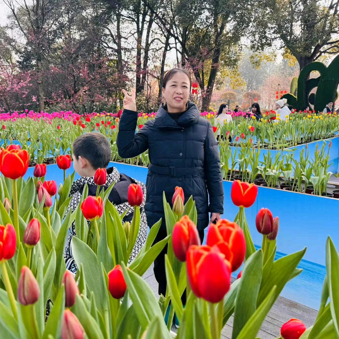 杨大姐