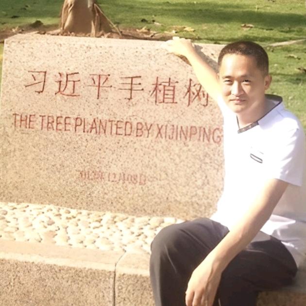 梧桐🌲🌲🌲🌲🌲