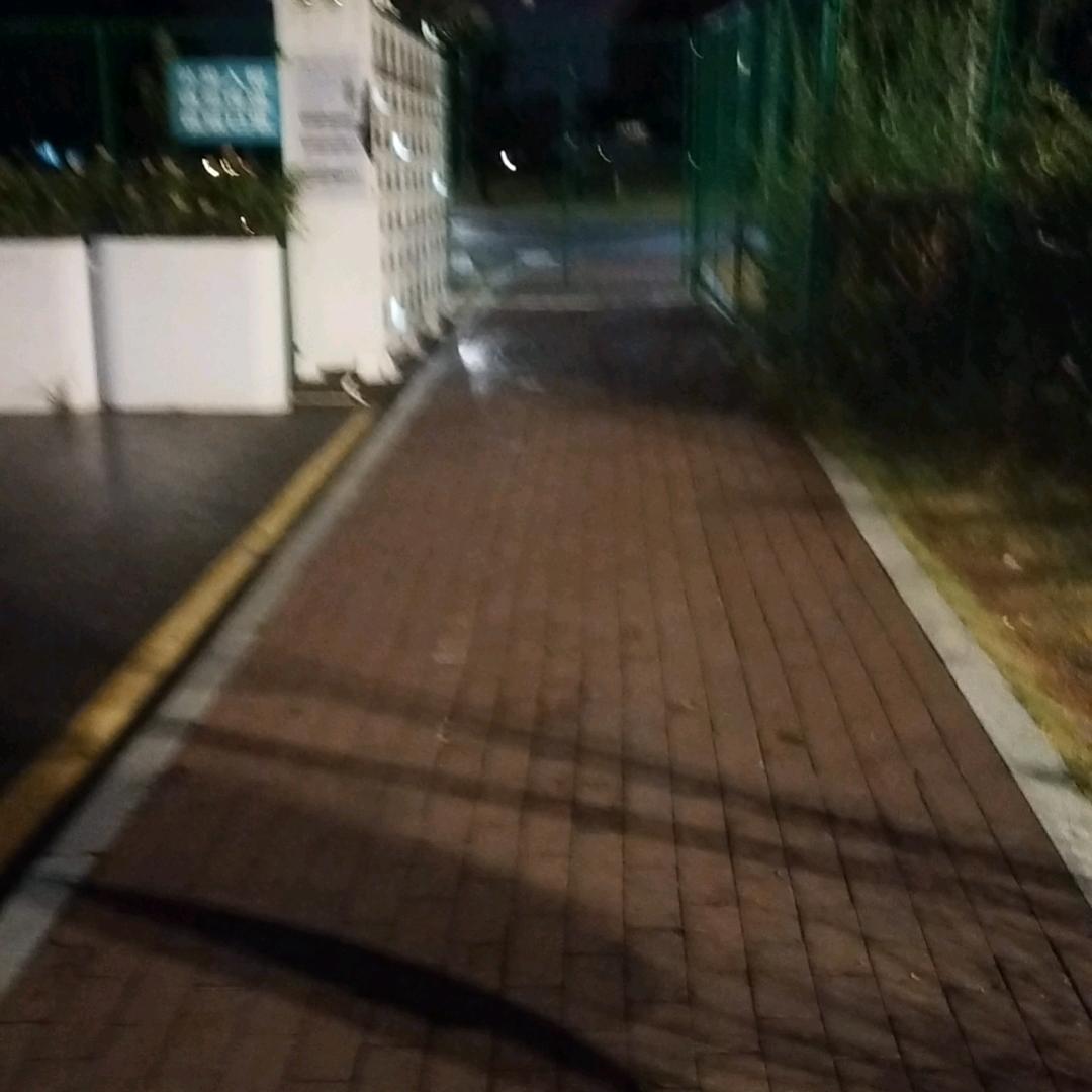 静25337
