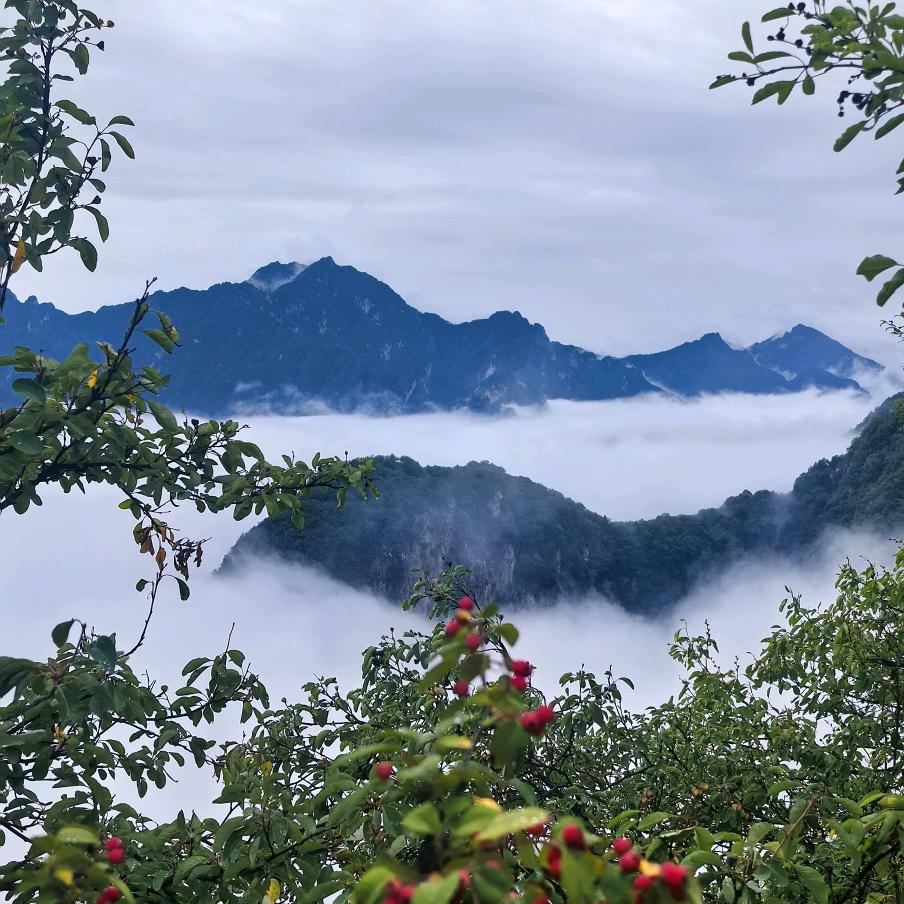 见南山