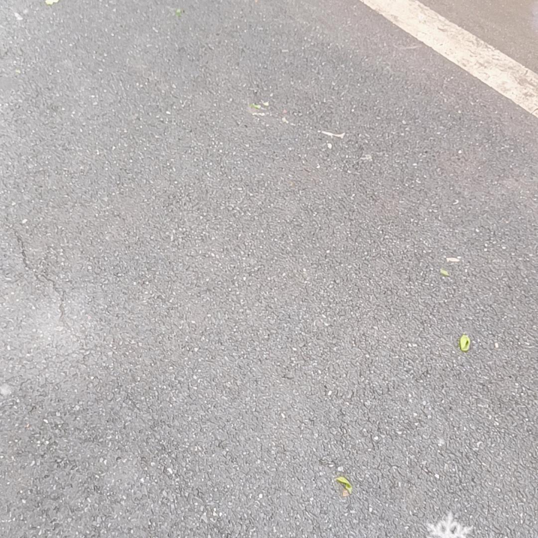 韩桃桃妈妈在努力(小林)