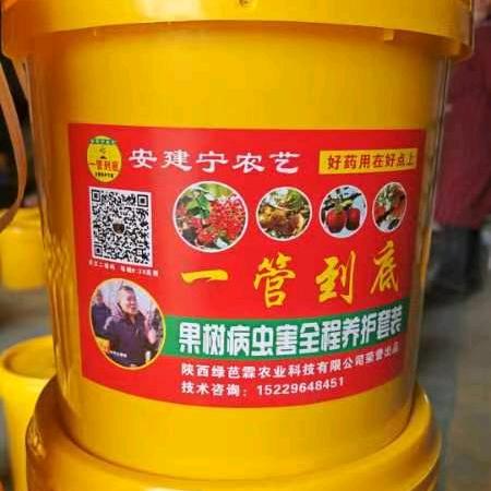 ：郭菊玲～安建宁技术团队
