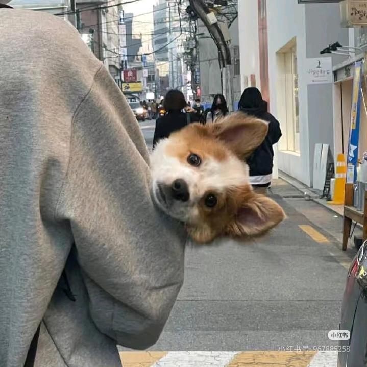 半程