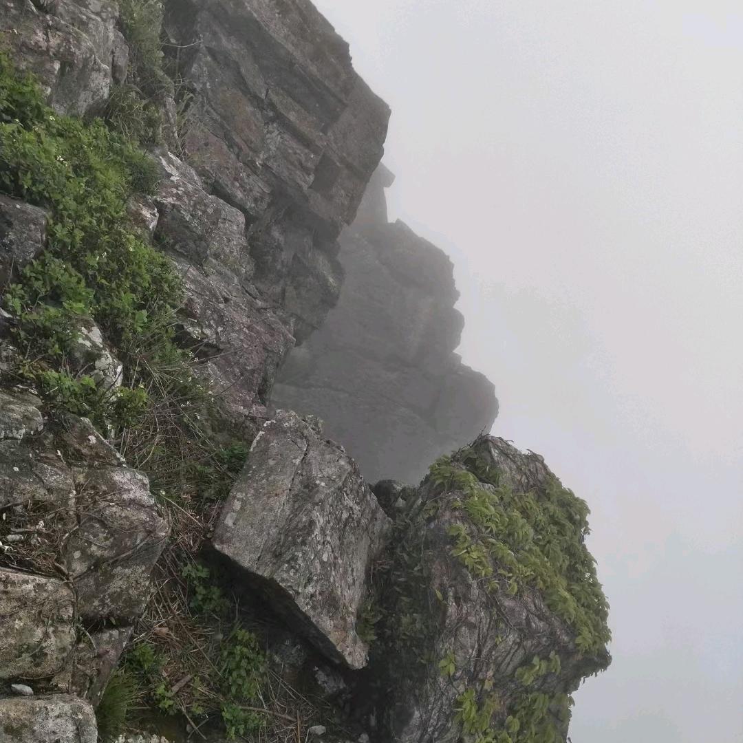 爱拍视频