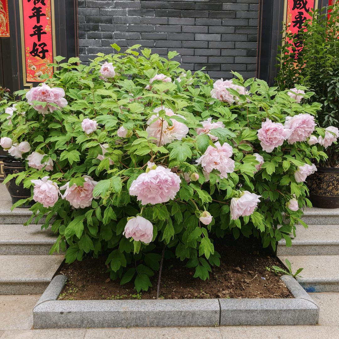 明珠玉器