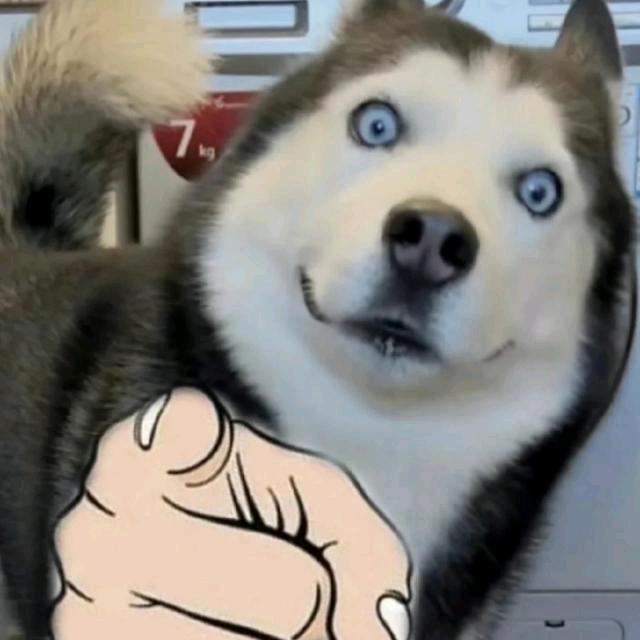慧哥