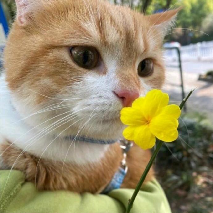 趁热追剧