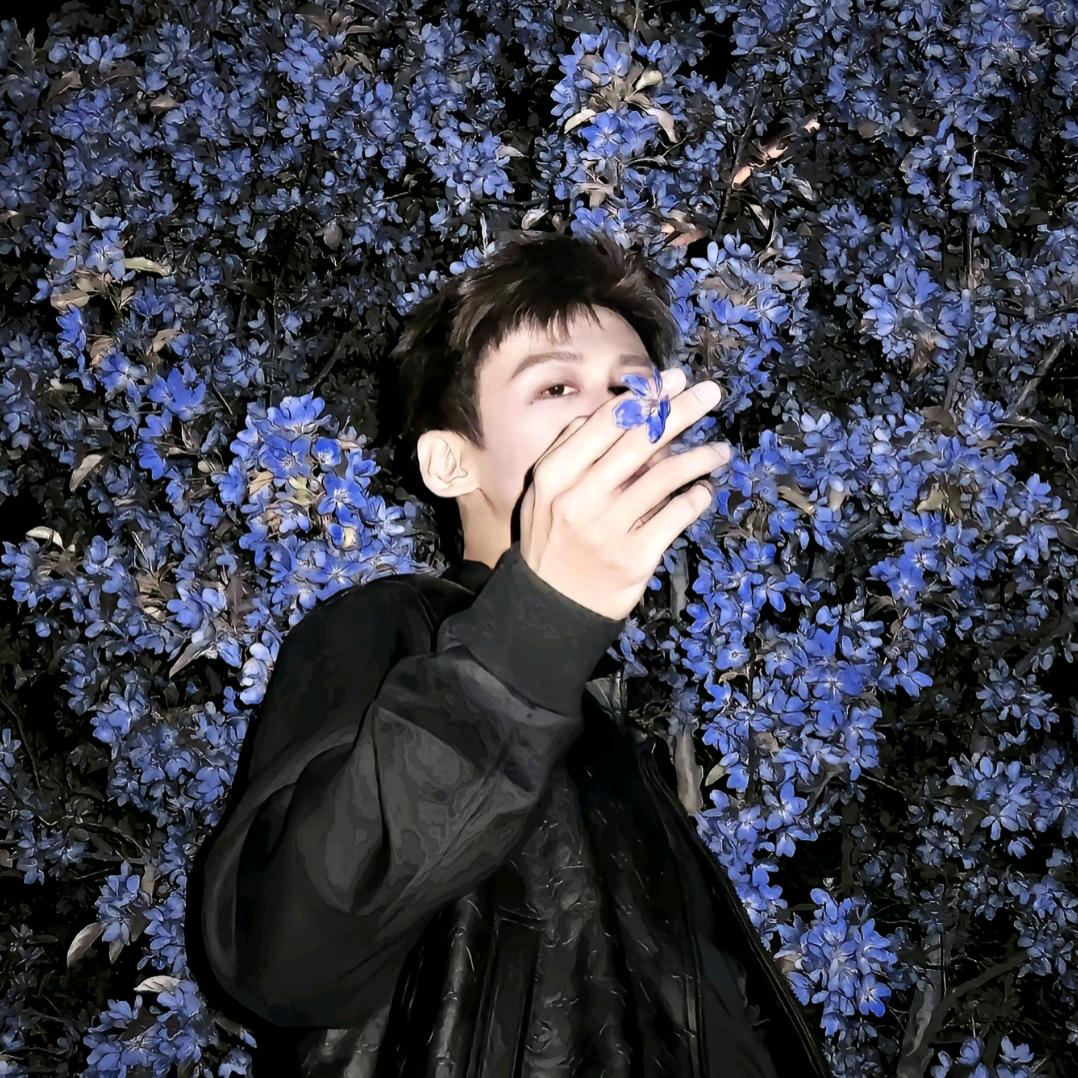 曙光ღ