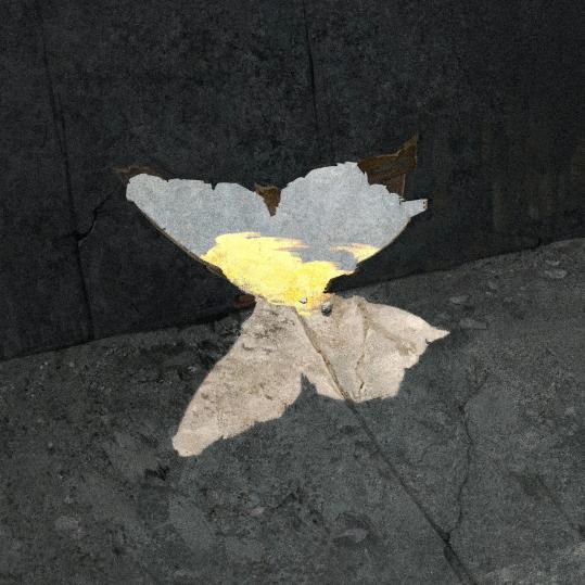 南栖竹.