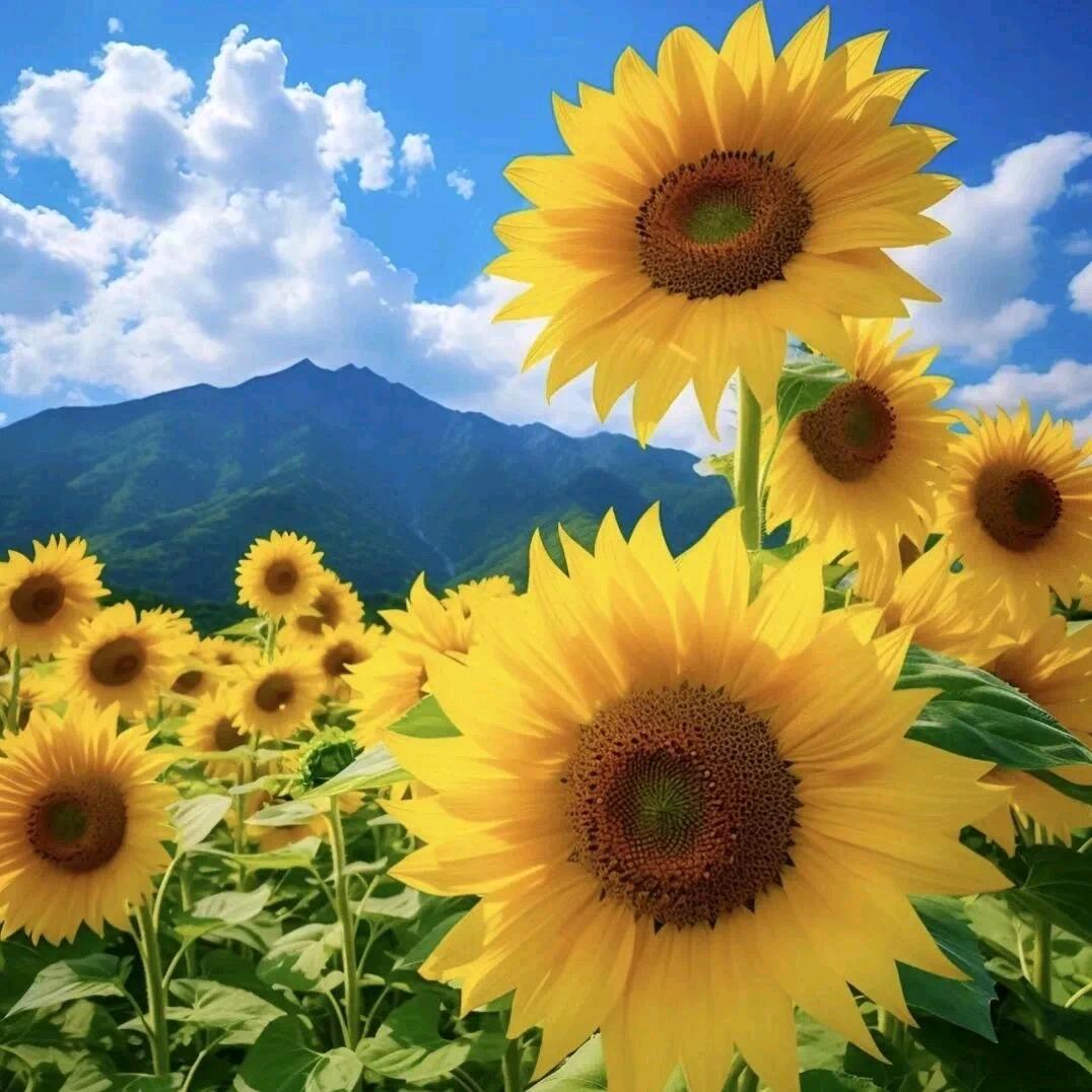 平城健行