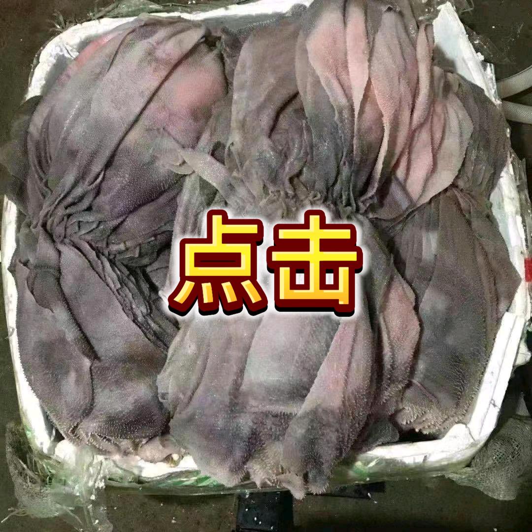 塘家坨屠场鲜毛肚一个也是批发价