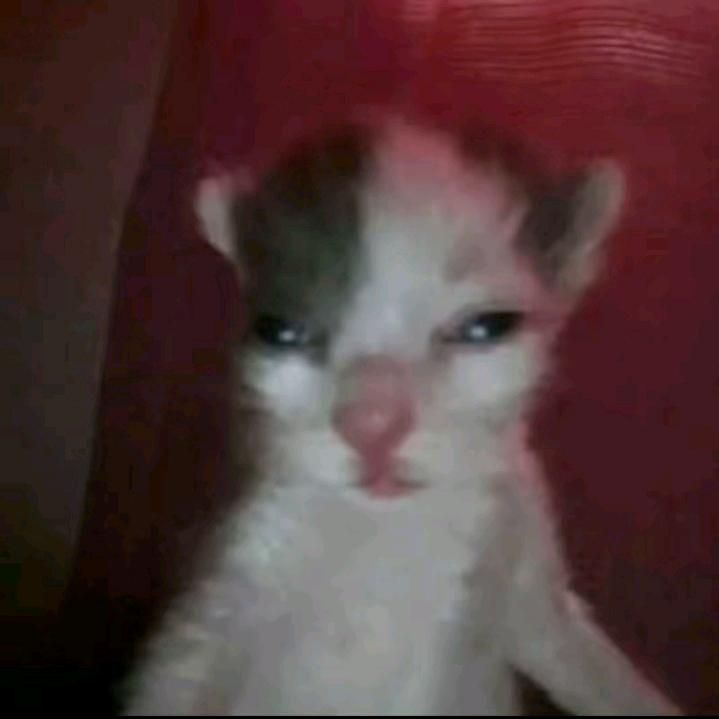 LEN