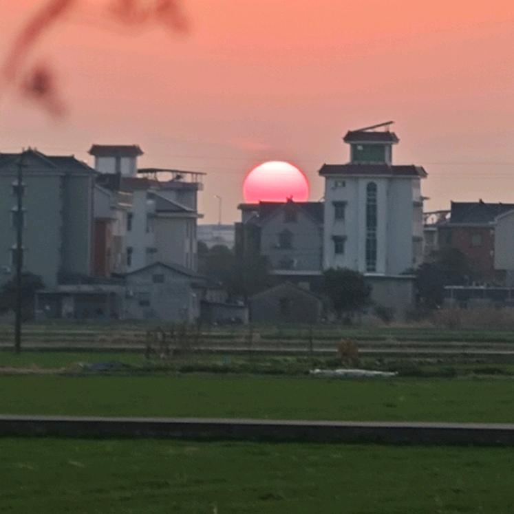 楠叔