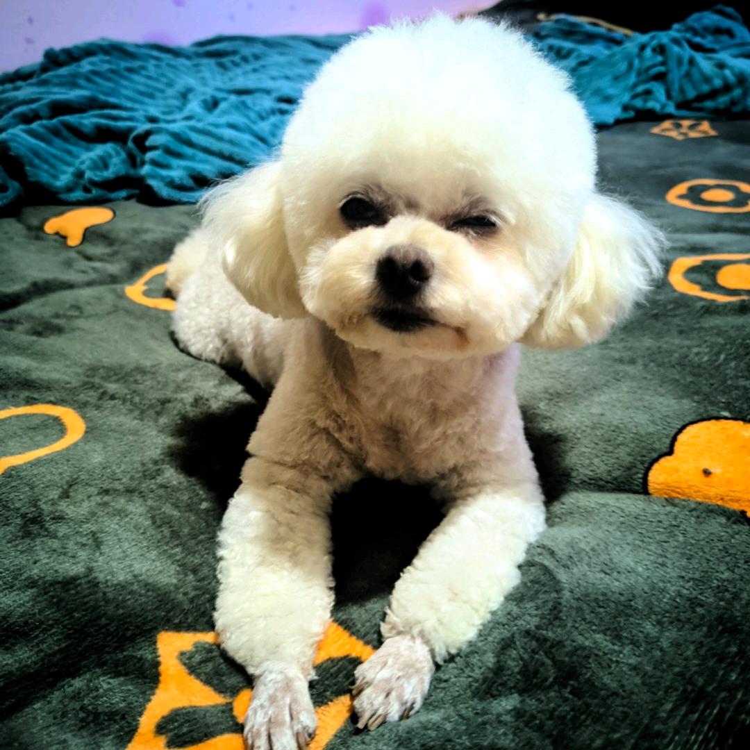 于小胖