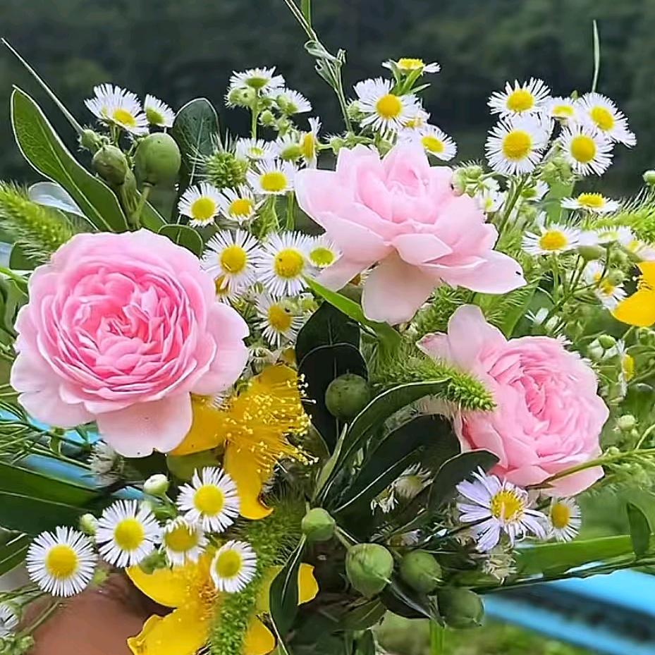 小丽儿