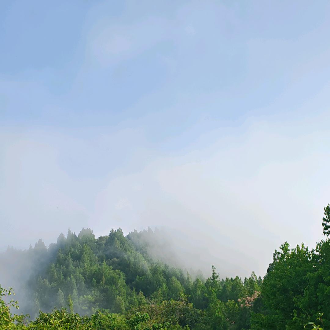 占山为王