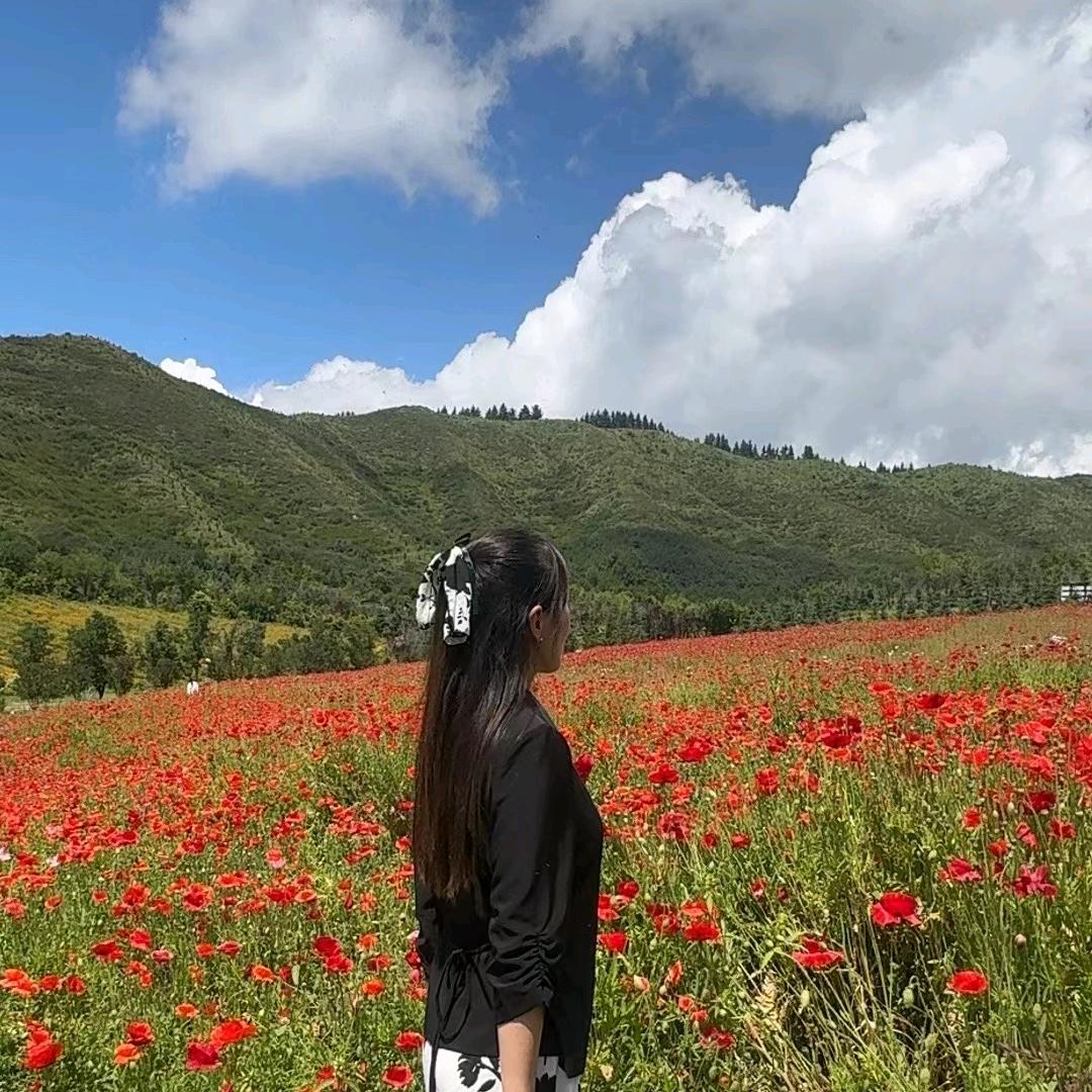 明天更好