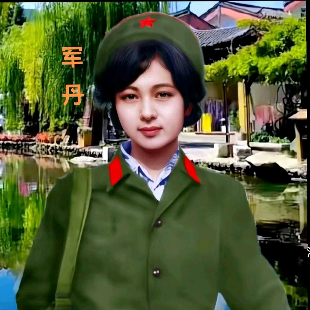 军丹（拒私聊合拍）