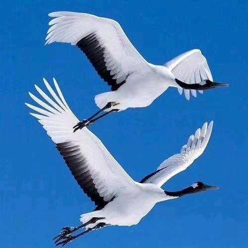 🦋梦醒💞空