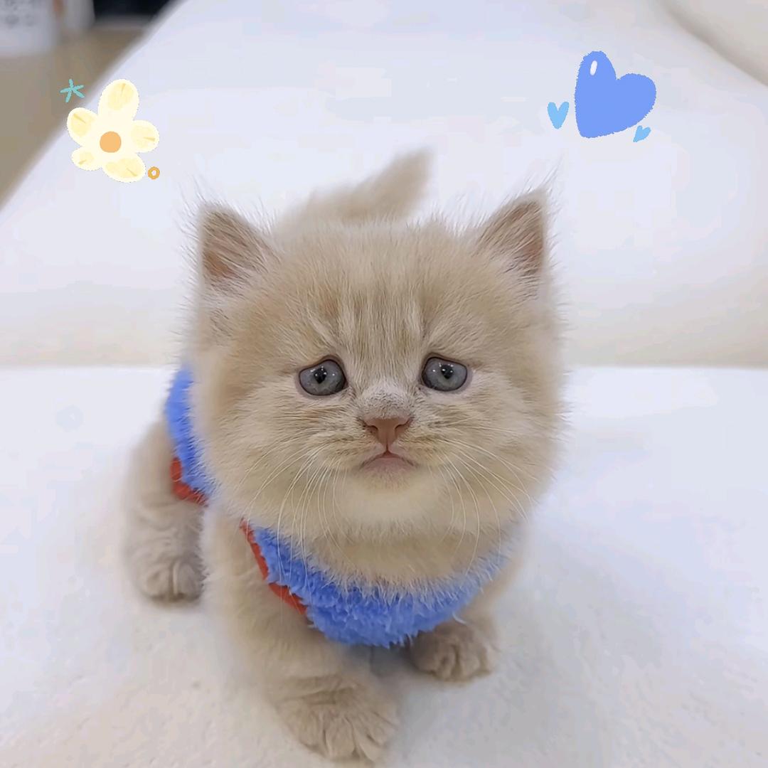 芊～然妈妈