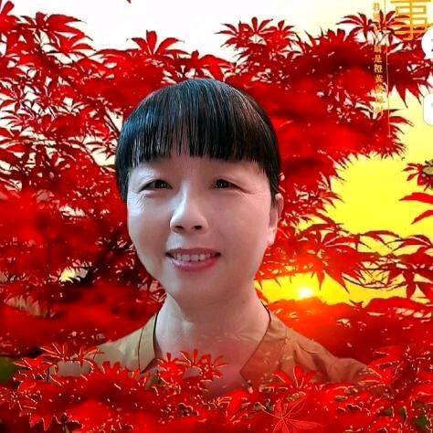 宝莲灯(厨窗内有好物件)