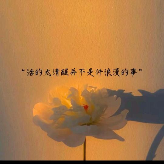 随缘——🚬