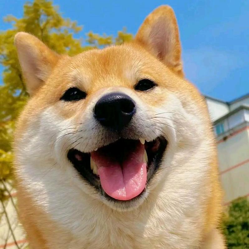 贵贵园长