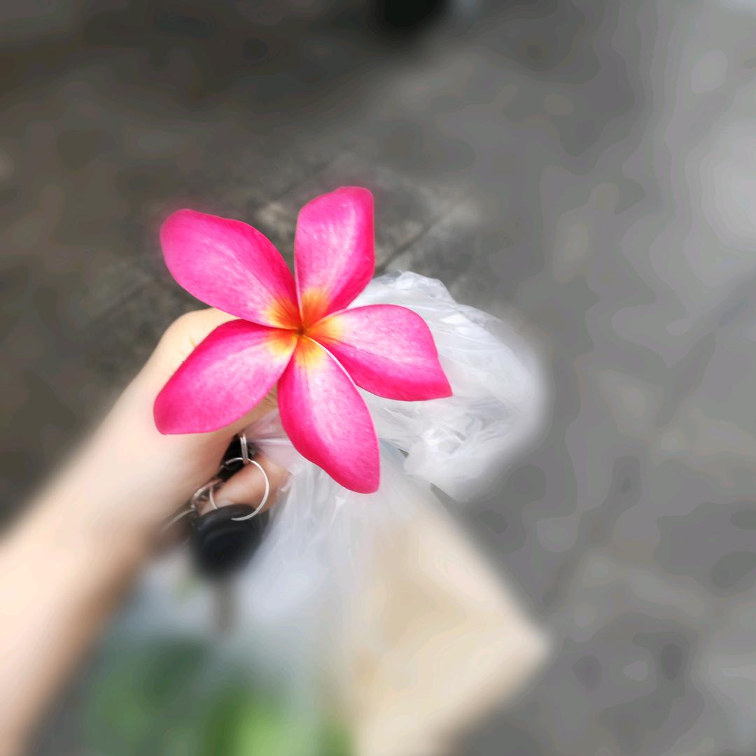 甄选国货好鞋