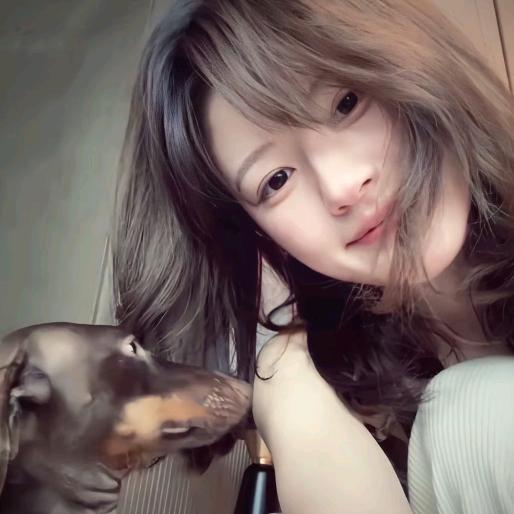 🐾.