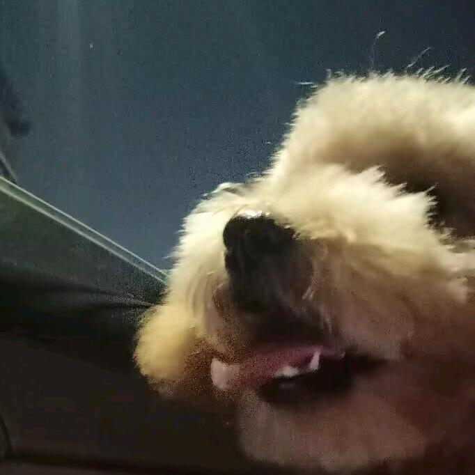 冷静说