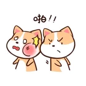 什么？！