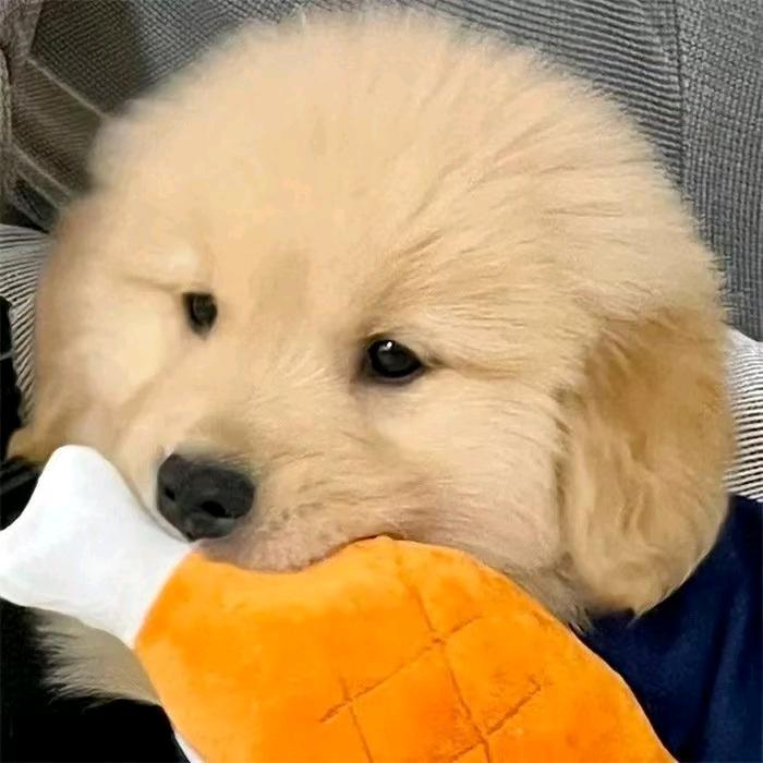是空不是悟