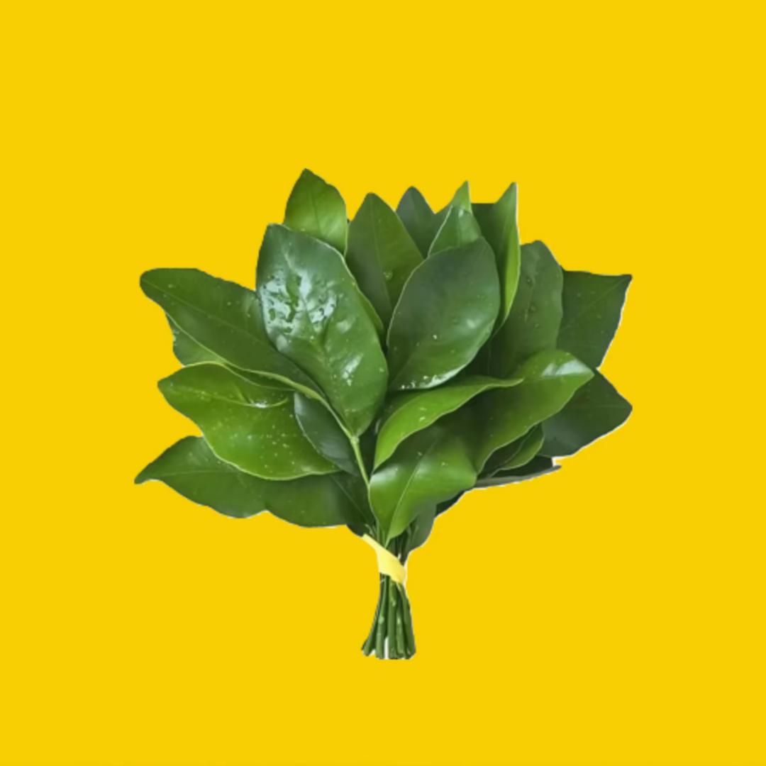 稅税栗