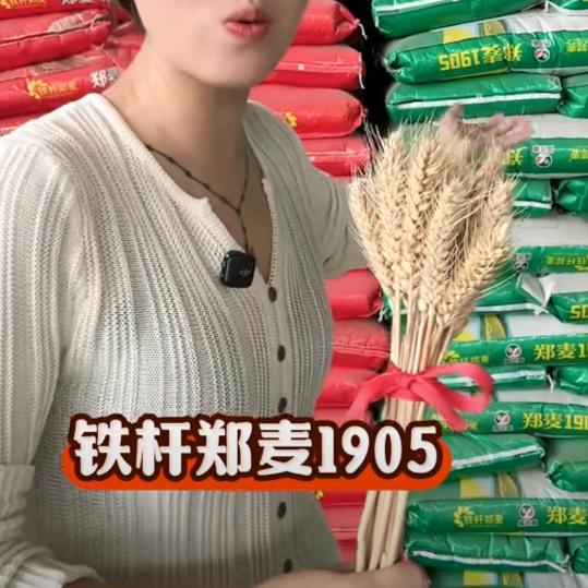 王庄北粮点农资