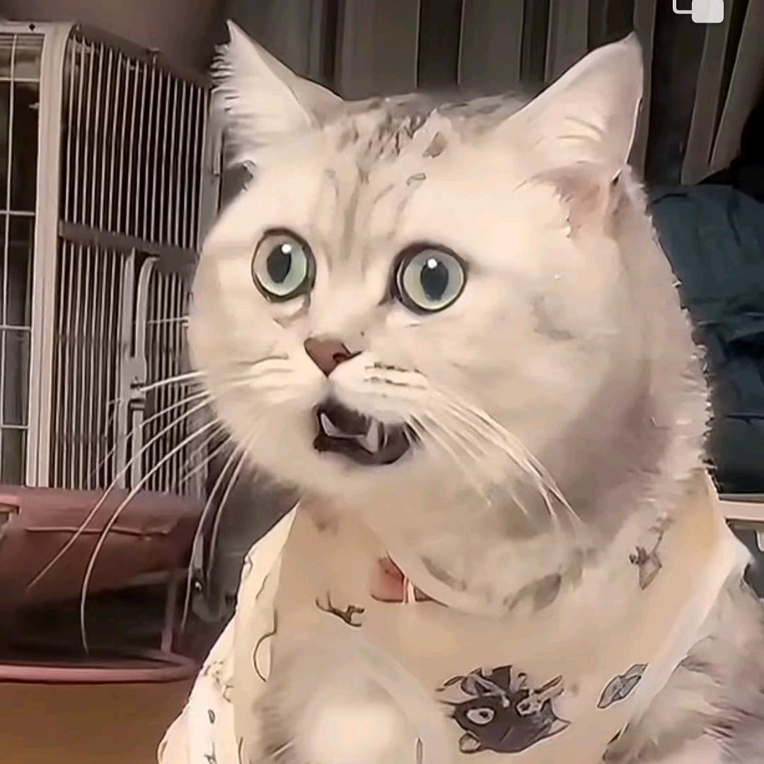 成蹊