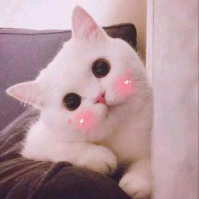 花漾甜心