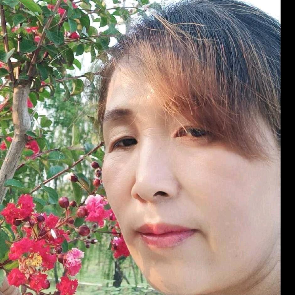 利辛张梅