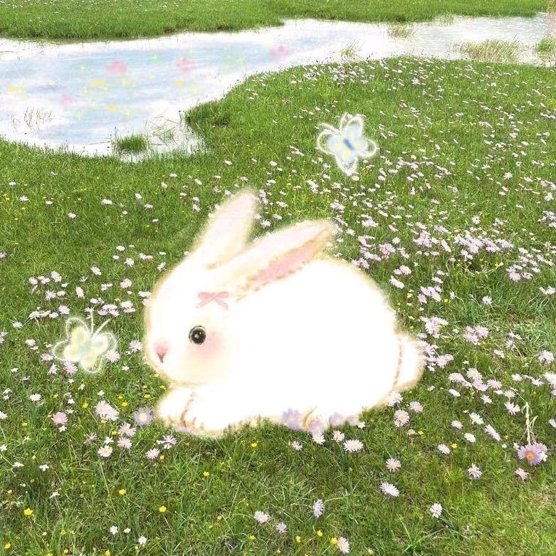 🎐小白白