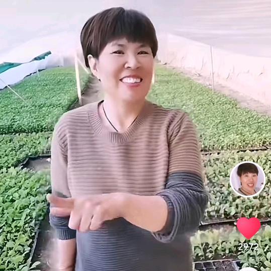 大棚一姐