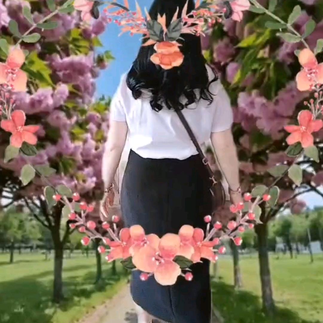 一人闯天涯孤玫瑰🌹🌹