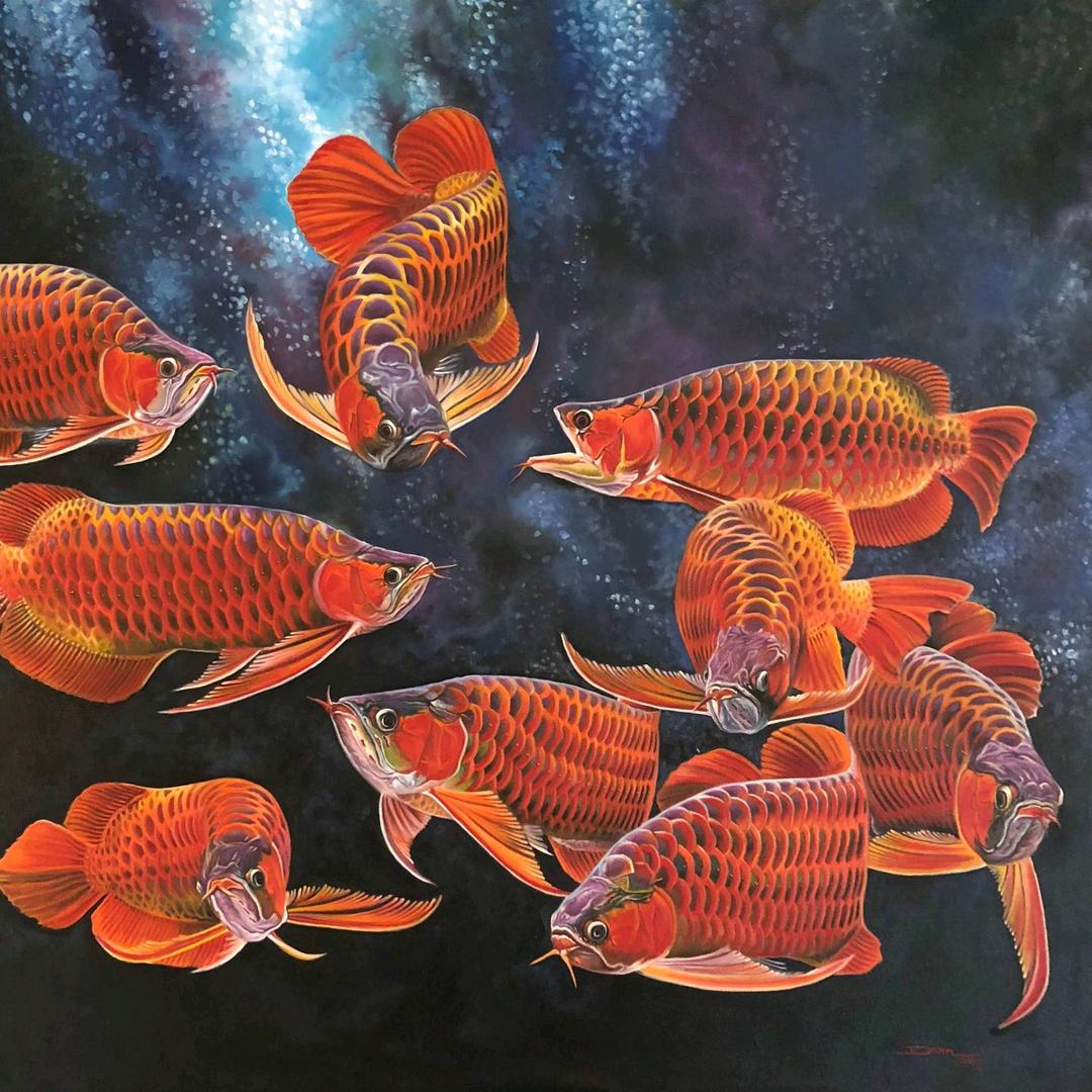 小蕊水族馆