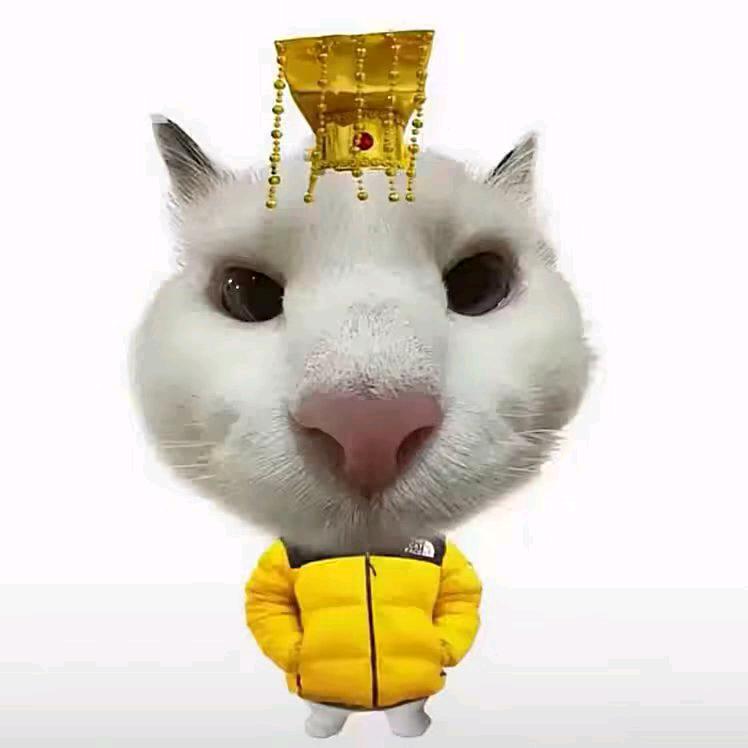 玥词（画渣版）