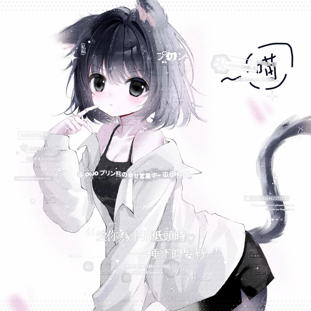 小白