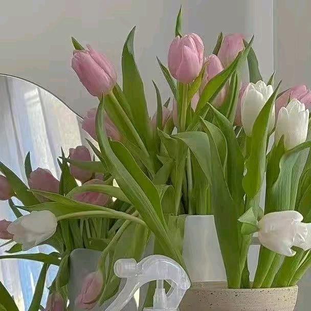静心🍀