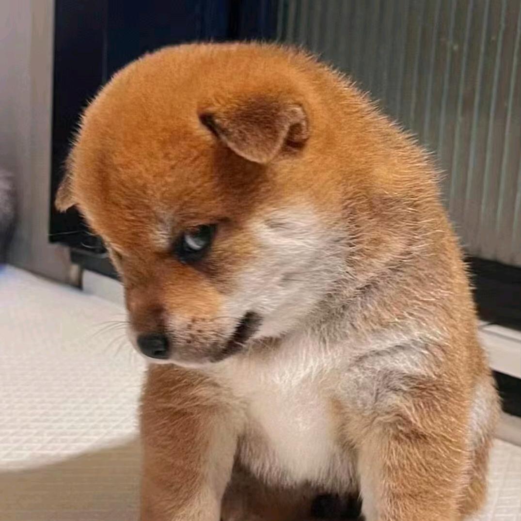 福旺粮缘狗粮
