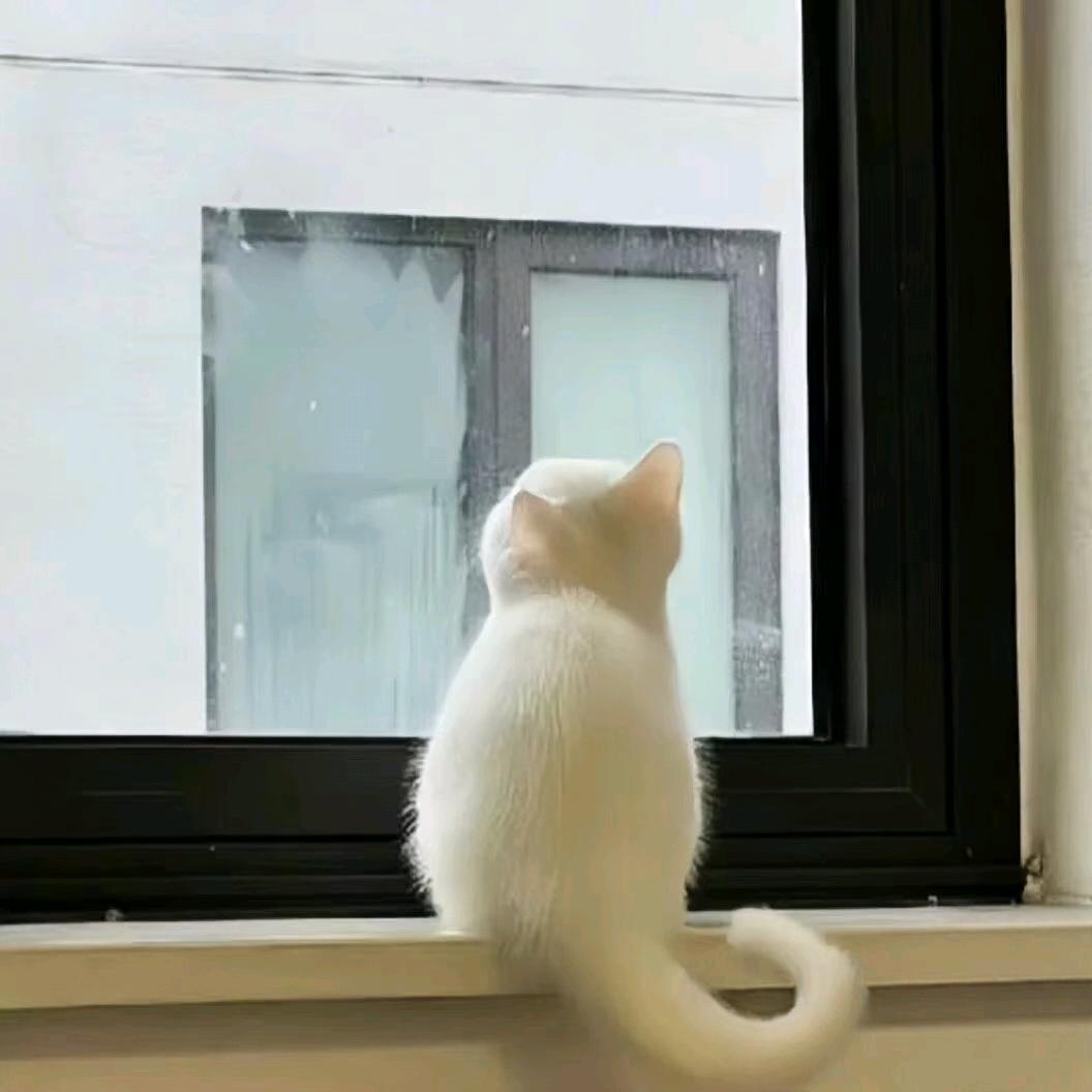 繁星♡