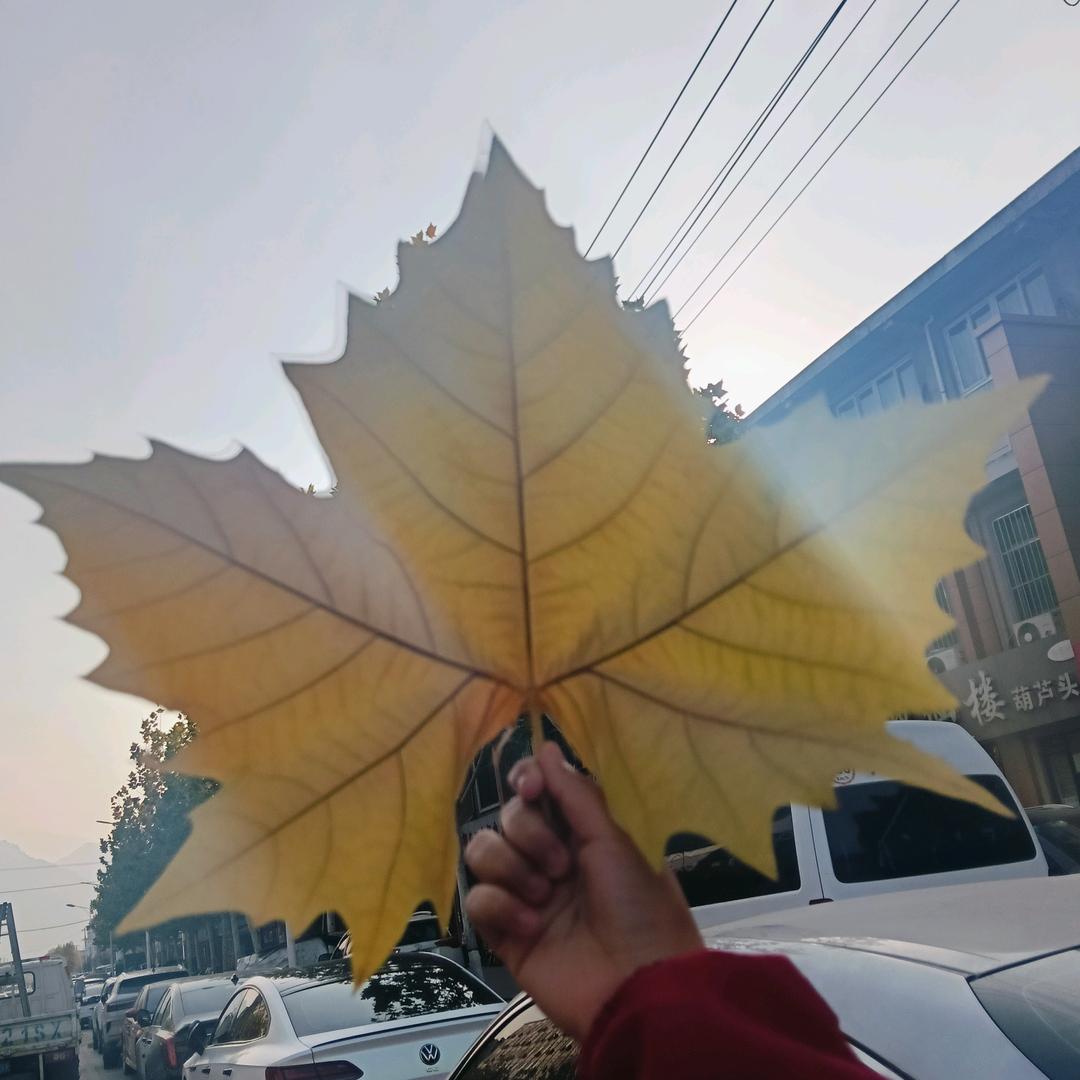 迎姐