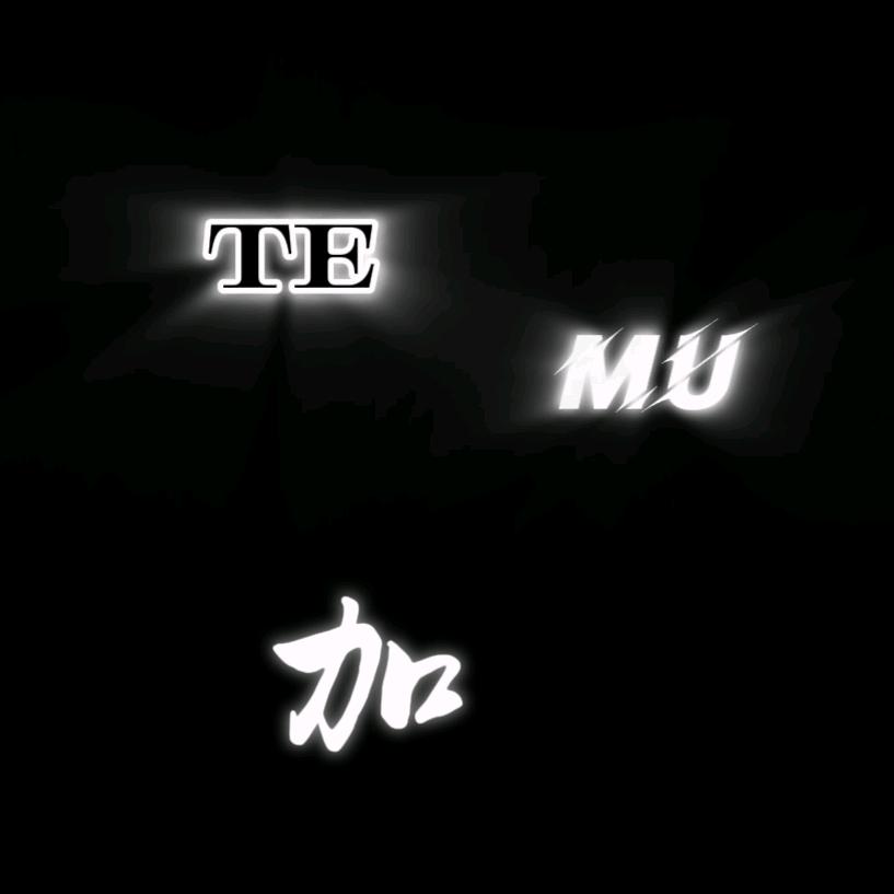 TEMU加