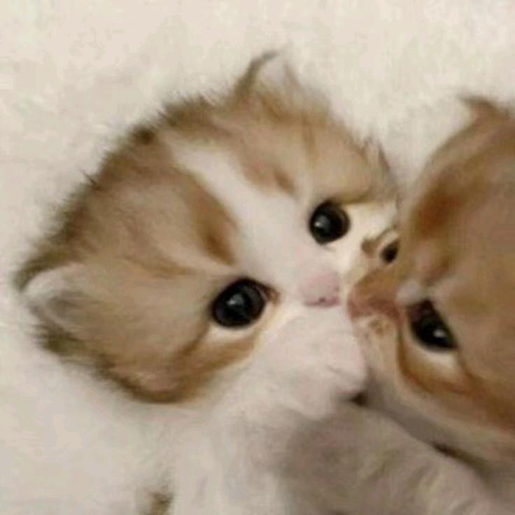 南望.