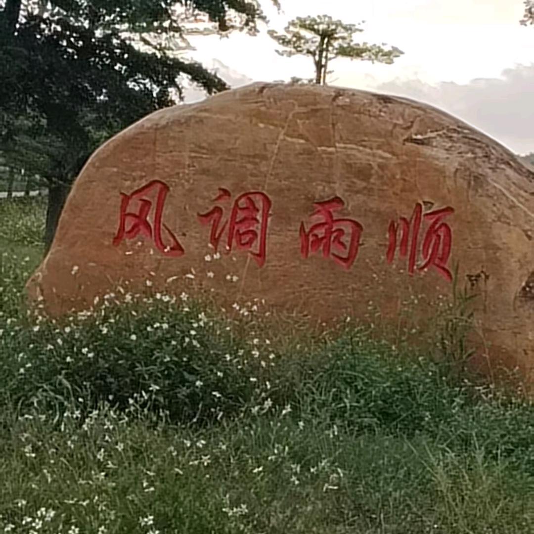 小仙草